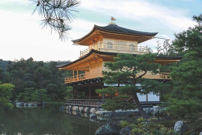 Guided Kyoto City Cherry Blossom One Day Private Tour - Pickup from Kyoto Station: starting the day with less stress