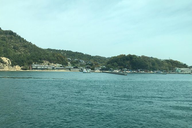 Guided Tour to Naoshima Art Island with Private Car - Price and value: what $418 buys you (and what it doesn’t)