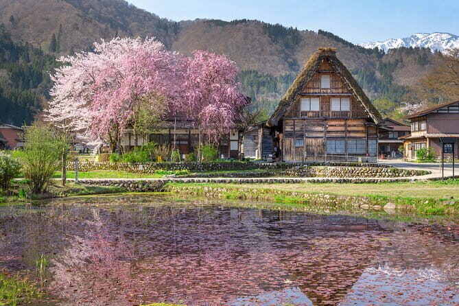 Gujo, Hida Takayama, and Shirakawa-go Day Tour from Nagoya - Price and Value: What You’re Paying For