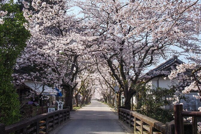 Hakata Old Town Walking Tour Tracing the True History of Fukuoka - Kushida Shrine: where the Gion Yamakasa tradition shows up year-round