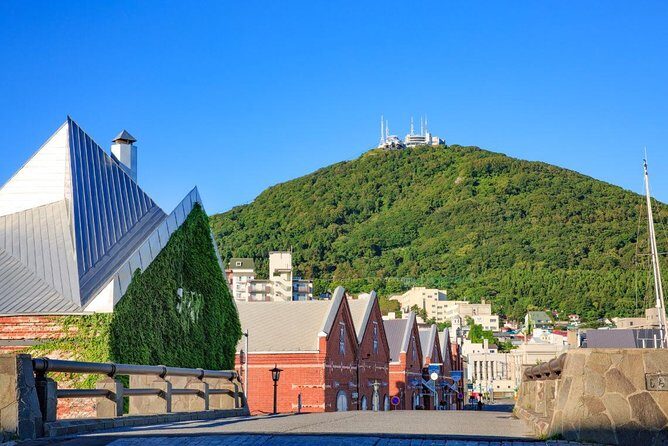 Hakodate 4hr Private Tour with Government-Licensed Guide - Mount Hakodate Viewpoint: Short Time, Big Payoff