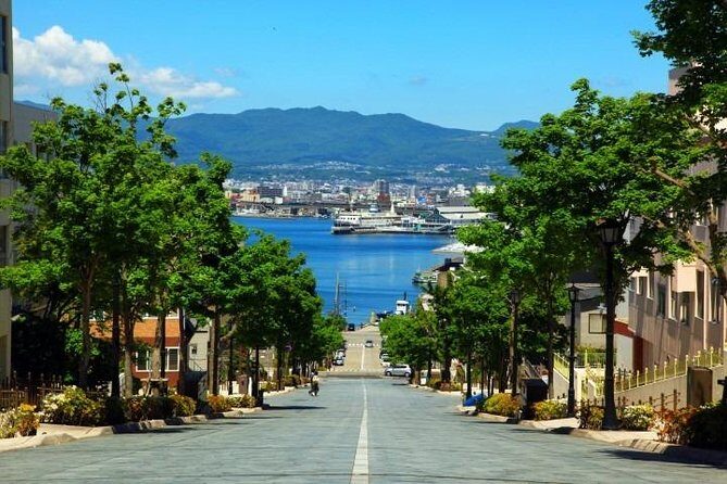 Hakodate 6hr Private Tour with Government-Licensed Guide - Mount Hakodate Views: The 334-Meter Summit Moment