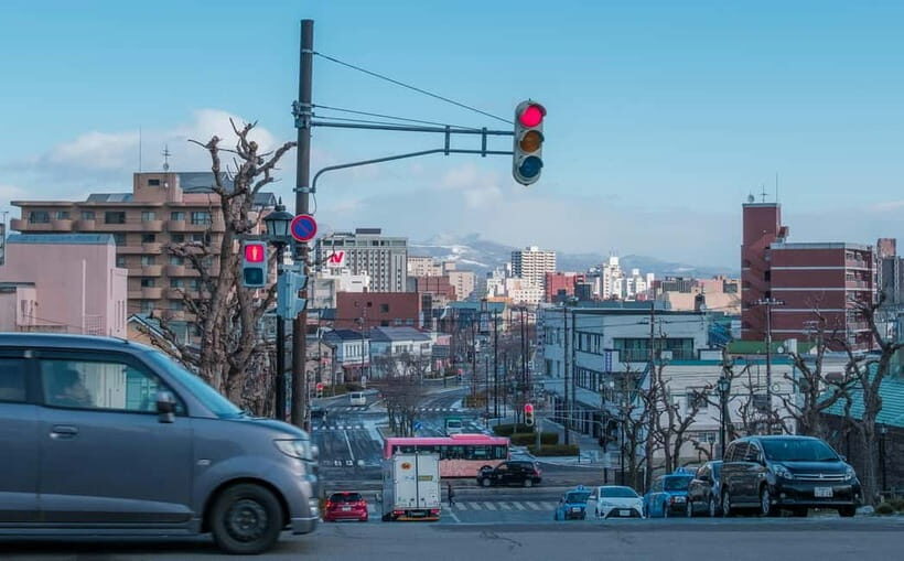 Hakodate Highlights Shore Excursion (5h) for Cruise Guests - Private-car comfort that actually matters on a cruise day