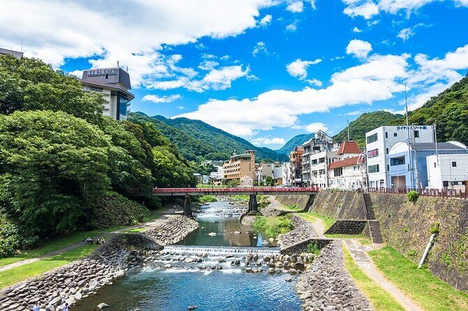 Hakone 6 hour Private Tour with Government-Licensed Guide - Art museums and the quiet kind of wow