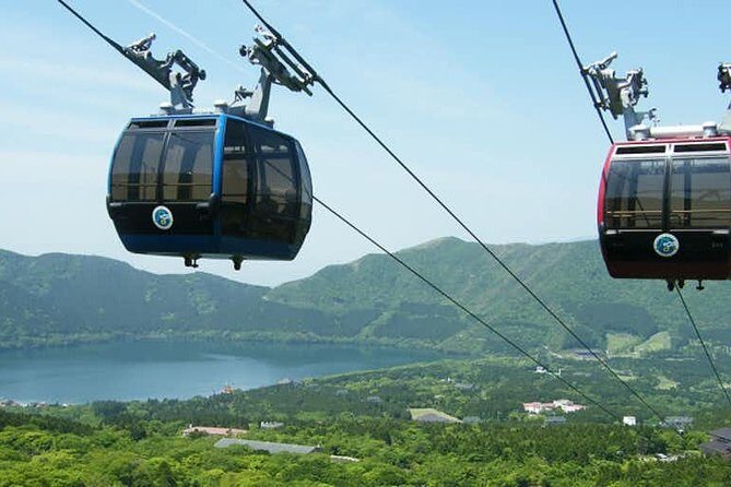 Hakone 6 hour Private Tour with Government-Licensed Guide - Walking, transit, and crowds: what “private” really means here