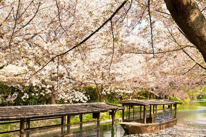 Hakone and Mt. Fuji Day Trip with Private Vehicle - Gotemba Premium Outlets: the practical add-on that can be a real tradeoff