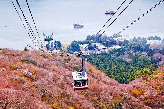 Hakone and Mt Fuji Private Custom Tour with English Guide - Who should book this Hakone–Fuji private day, and who might not