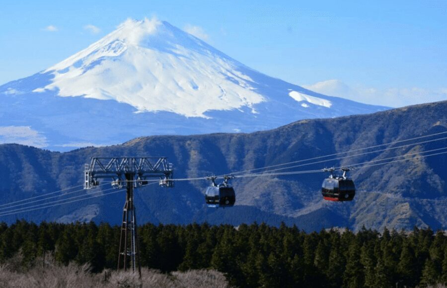 Hakone: Customizable Full Day Tour with Private Transfer - Hakone Open Air Museum: Museum Time Without the Ticket Shock