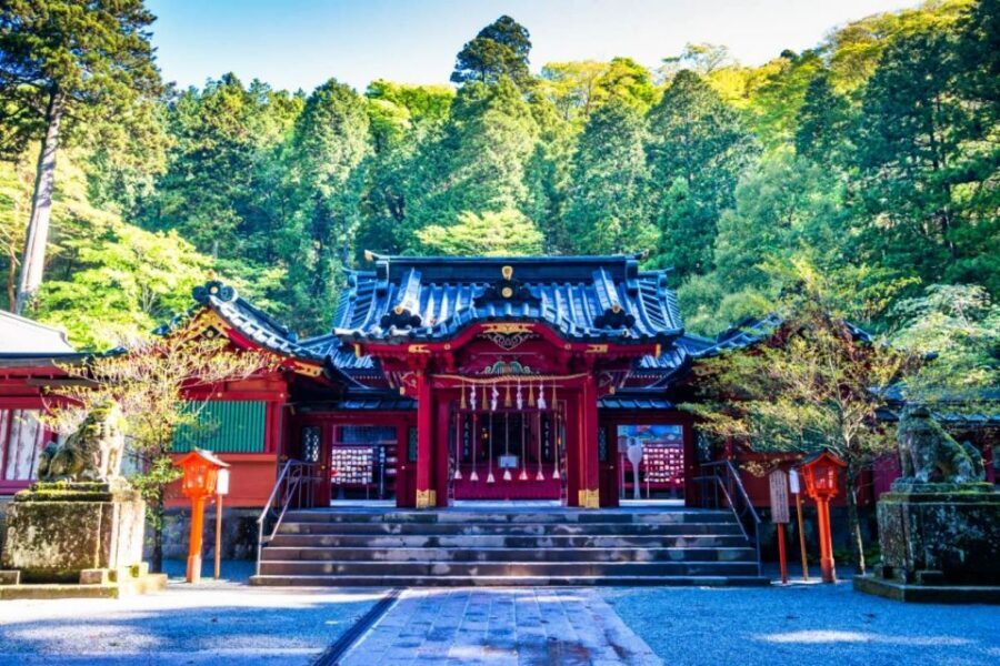 Hakone: Customizable Full Day Tour with Private Transfer - Optional Guide: When Local Stories Are Worth Adding