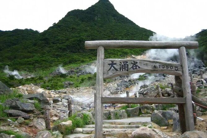 Hakone Free Pass, 2-3 Days Travel Voucher Japan - Romancecar: The One Squeeze Point in the Plan