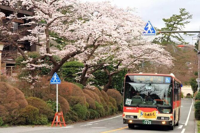 Hakone Free Pass, 2-3 Days Travel Voucher Japan - Timing Tips That Make Hakone Feel Easier