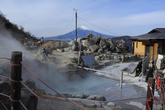Hakone Full-Day Private Tour By Public Transportation - Price and value at about $221 per person