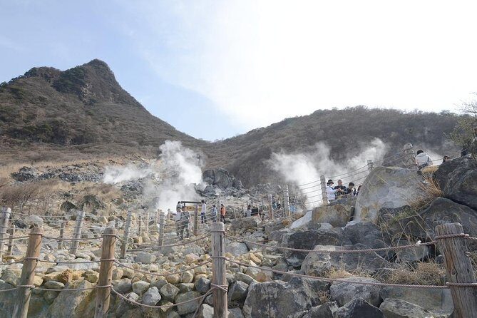 Hakone Full-Day Private Tour(Tokyo DEP.) with Government-Licensed Guide - Why Hakone feels hard without help