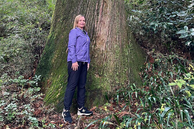Hakone Full Day Tour with Guide and Vehicle - Owakudani Valley: the volcanic heart of Hakone