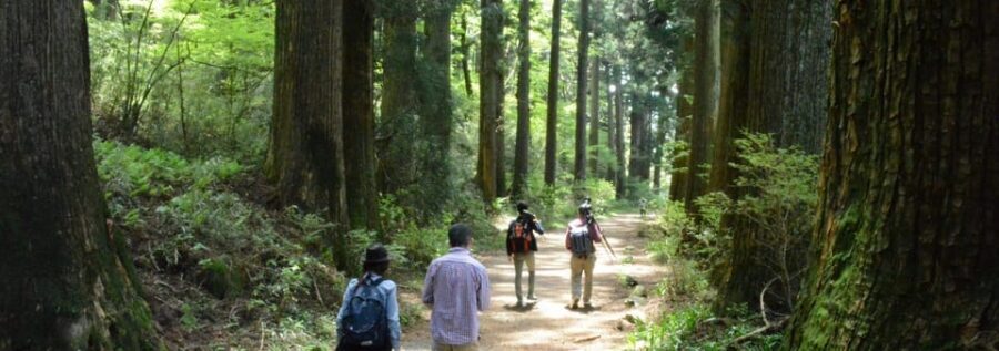 Hakone Geology & History Tour - Why Hakone’s Volcanic Core Makes This Tour Feel Real