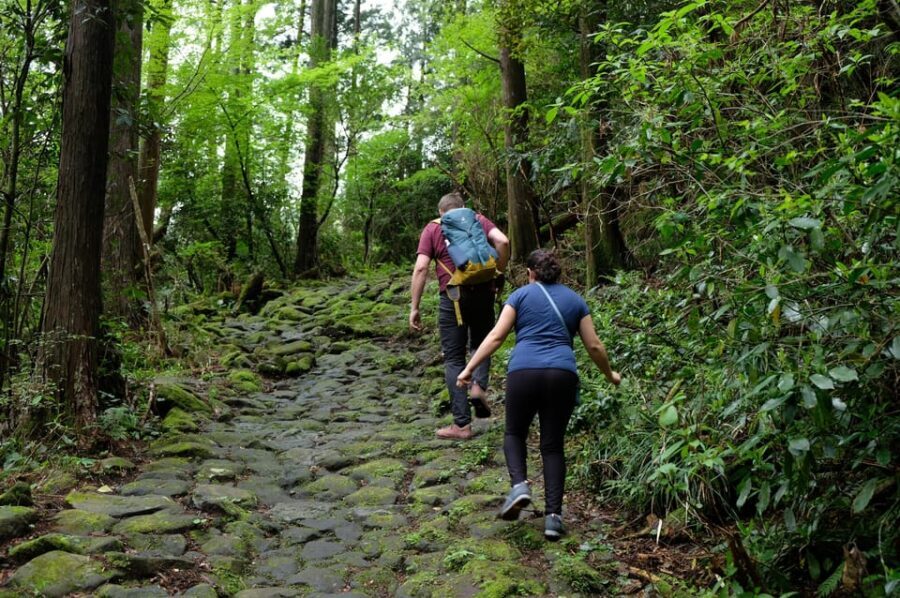 Hakone Hachiri: Old Tokaido Highway Hiking Half-day tour - Key things you’ll notice on this Hakone Hachiri hike