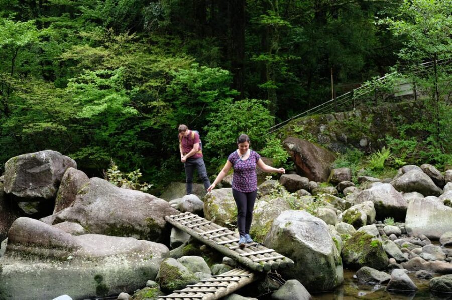 Hakone Hachiri: Old Tokaido Highway Hiking Half-day tour - Why Hakone Hachiri feels different than taking the train