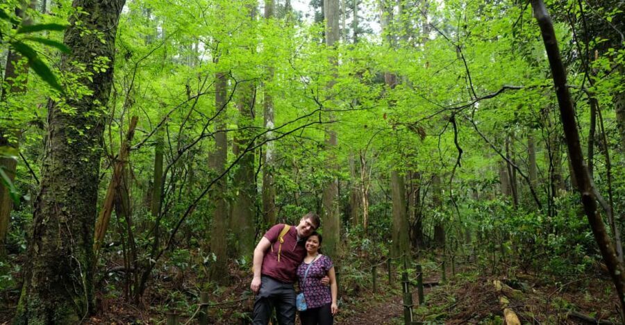 Hakone Hachiri: Old Tokaido Highway Hiking Half-day tour - Sukumo River and forest-bathing you can actually feel