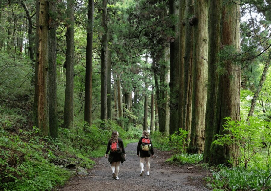 Hakone Hachiri: Old Tokaido Highway Hiking Half-day tour - Hatajuku: the wood-carving village vibe and quick browsing time