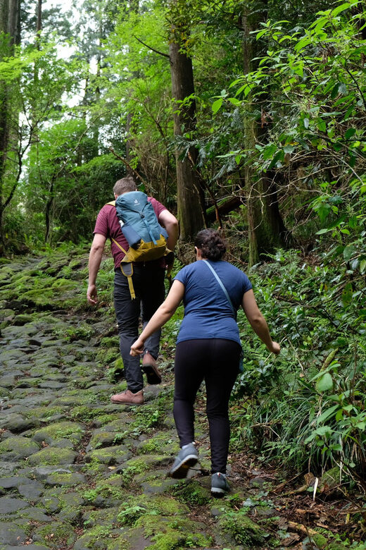 Hakone Hachiri: Old Tokaido Highway Hiking Half-day tour - Cobblestones on the Old Tōkaidō: short walk, real character