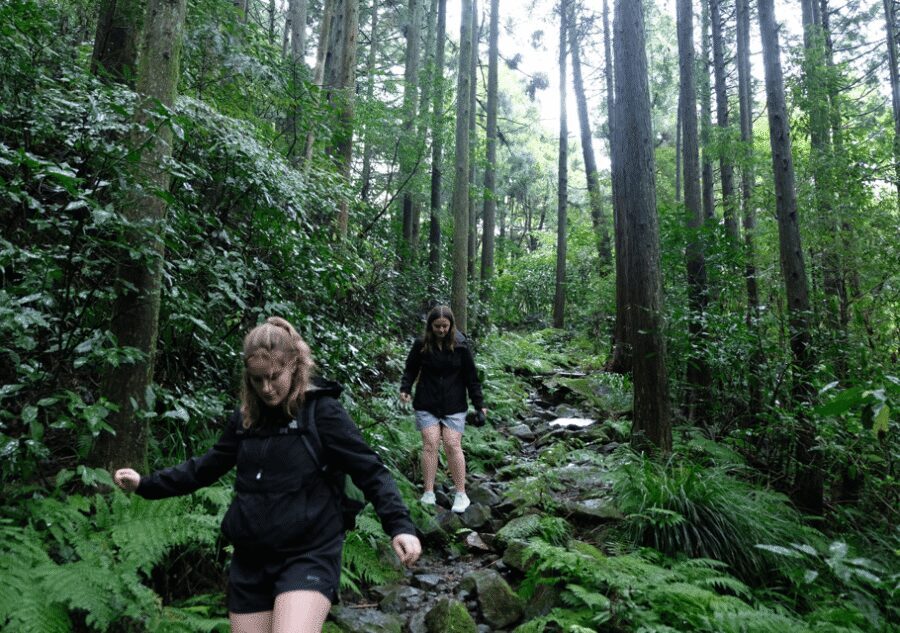 Hakone Hachiri: Old Tokaido Highway Hiking Half-day tour - Lake Ashi photo stops: Torii views and Mt. Fuji only if the sky cooperates