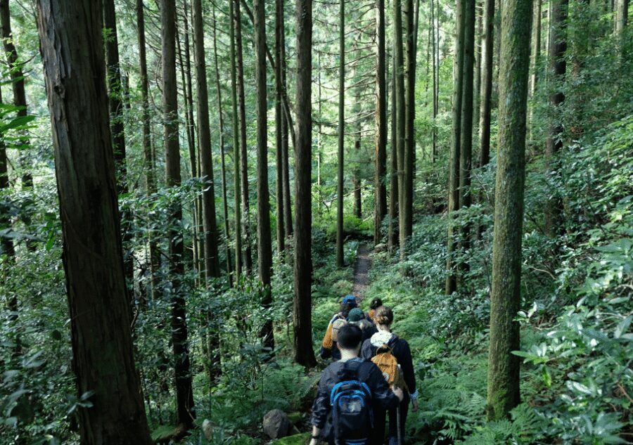 Hakone Hachiri: Old Tokaido Highway Hiking Tour - What to Bring and How to Walk Smart on Cobblestones
