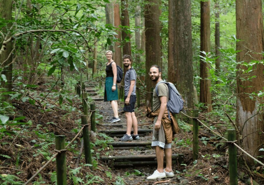 Hakone Hachiri: Old Tokaido Highway Hiking Tour - From Hakone-Yumoto With a Small Group and an Aki-Level Game Plan