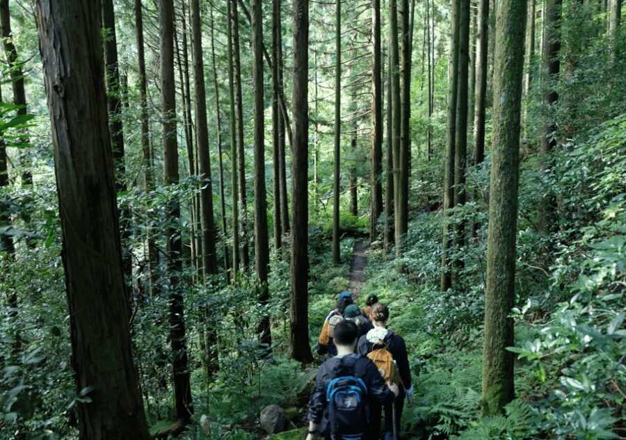 Hakone Hachiri: Old Tokaido Highway Hiking Tour - Price and Value: Is $167 Worth It?