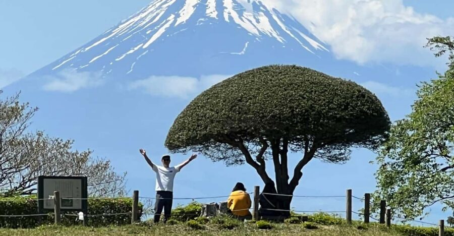 Hakone Hachiri: Old Tokaido Highway Hiking Tour - Sukumo River to Hatajuku: Warm-Up Hiking and Edo-Era Snacks