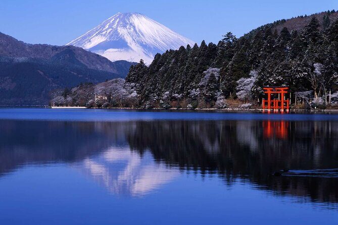 Hakone Private Customized Day Tour - A Private Hakone Day With Real Flexibility