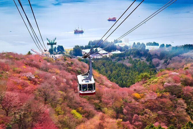 Hakone Private Customized Day Tour - Stop-by-Stop: From Hakone Open-Air Museum to Owakudani