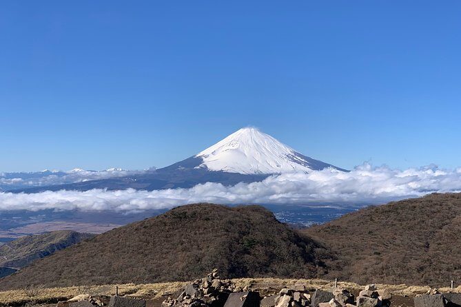 Hakone Private One Day Tour From Tokyo: Mt Fuji, Lake Ashi, Hakone National Park - Mt Fuji View Strategy: Good Weather Is Part of the Deal