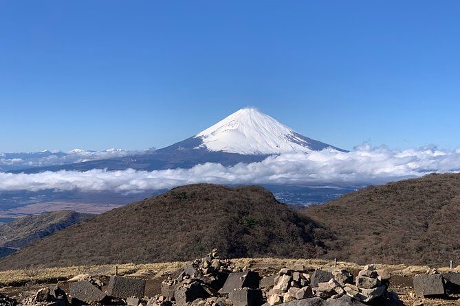 Hakone Private Two Day Tour from Tokyo with Overnight Stay in Ryokan - Your ryokan night: what the stay really feels like
