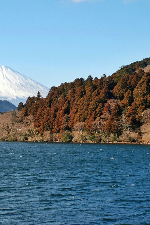Hakone: Self Guided Trip to Mt. Fuji // Made by Local Guides - What’s not included: budgeting for tickets and food