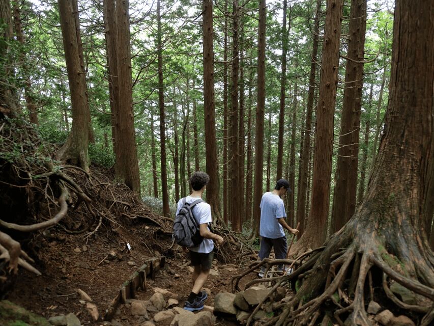 Hakone: Traverse the Hakone Caldera and Enjoy Onsen - The route’s highlights: volcanic views, Owakudani energy, and Sengokuhara scenery