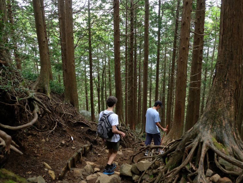 Hakone: Traverse the Hakone Caldera and Enjoy Onsen - Mt Fuji on the ridge: the best-case plan and the real backup plan