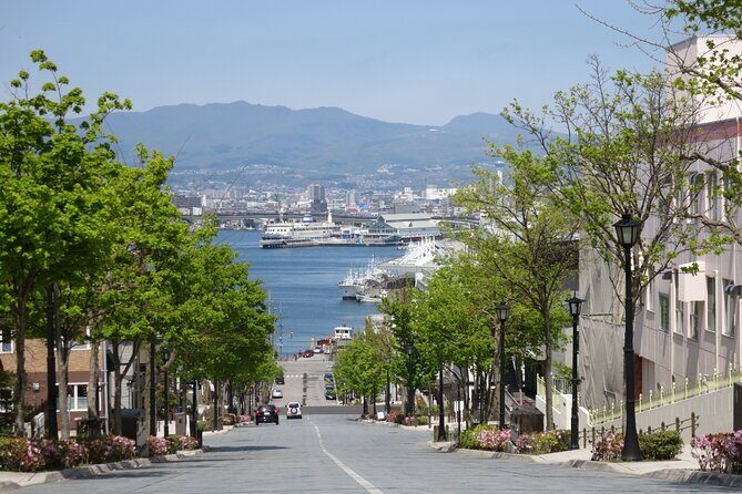 Half Day Hakodate Tour with Government Licensed English guide - Key highlights to know before you go