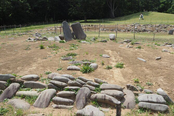 Half-day JOMON World Cultural Heritage Sites Tour in Aomori City - Why the Komakino + Sannai-Maruyama combo makes sense