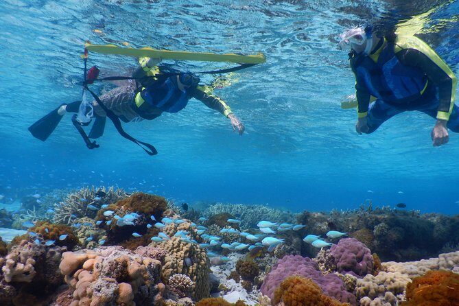 Half-day kayak tour on the Kerama Islands and Zamami Island - The Snorkeling Setup That Helps Beginners (Shore Starts Matter)