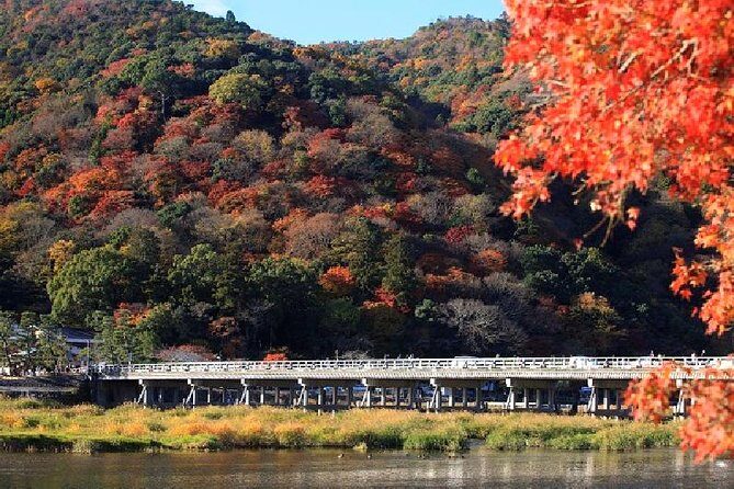 Half Day Kyoto Sagano Bamboo Grove & Arashiyama Walking Tour - Sagano Bamboo Grove: the calm start that sets the tone