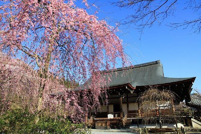 Half Day Kyoto Sagano Bamboo Grove & Arashiyama Walking Tour - Jojakko-ji: hillside quiet, Heike-era stories, and maple views