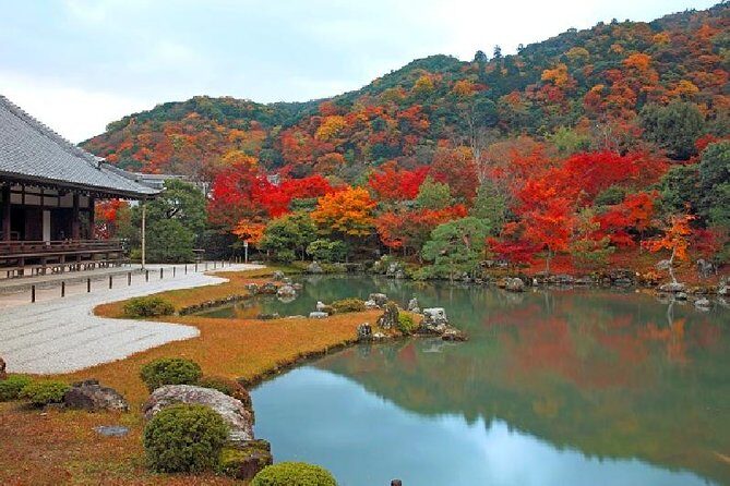 Half Day Kyoto Sagano Bamboo Grove & Arashiyama Walking Tour - Tenryu-ji Temple: the Zen garden stop you’ll remember