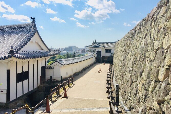 Half-Day Private Guided Tour of Himeji Castle - What the Guide Adds: Clear Explanations You Can Follow
