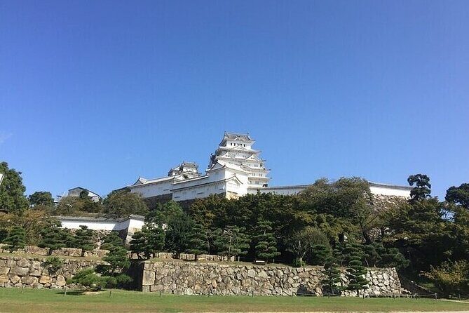 Half-Day Private Guided Tour of Himeji Castle - Walking, Timing, and How to Keep the Day Comfortable
