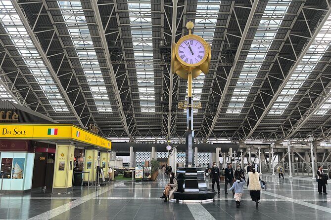 Half-Day Private Guided Tour of Himeji Castle - Getting to Himeji: The Osaka/Kyoto Train Ride With Context