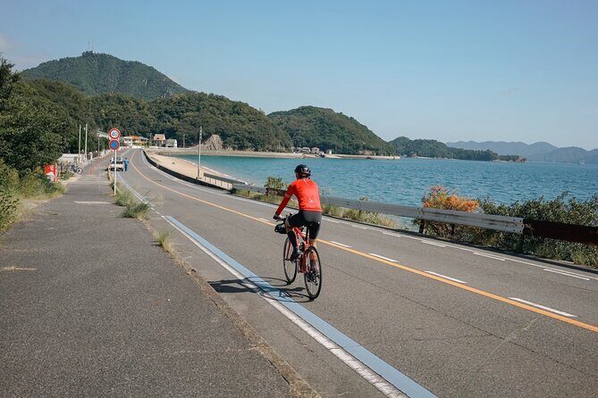 Half-Day Shimanami Kaido Private E-Bike Cycling Tour - 3 Routes - Quick hits before you pedal