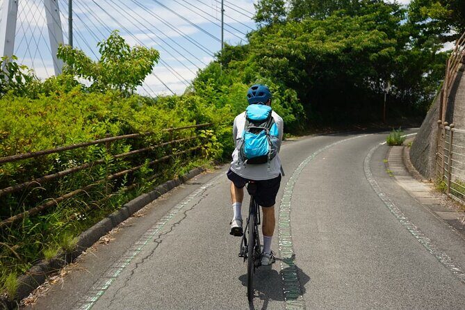Half-Day Shimanami Kaido Private E-Bike Cycling Tour - 3 Routes - Route Choice 2: Full Island Cycling Around Mukaishima