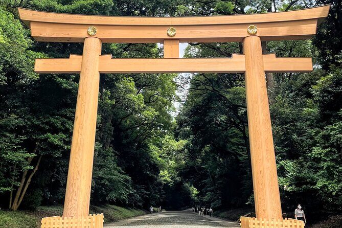Half Day Sightseeing Tour in Tokyo - Asakusa meet-up for matcha: premium, not bitter