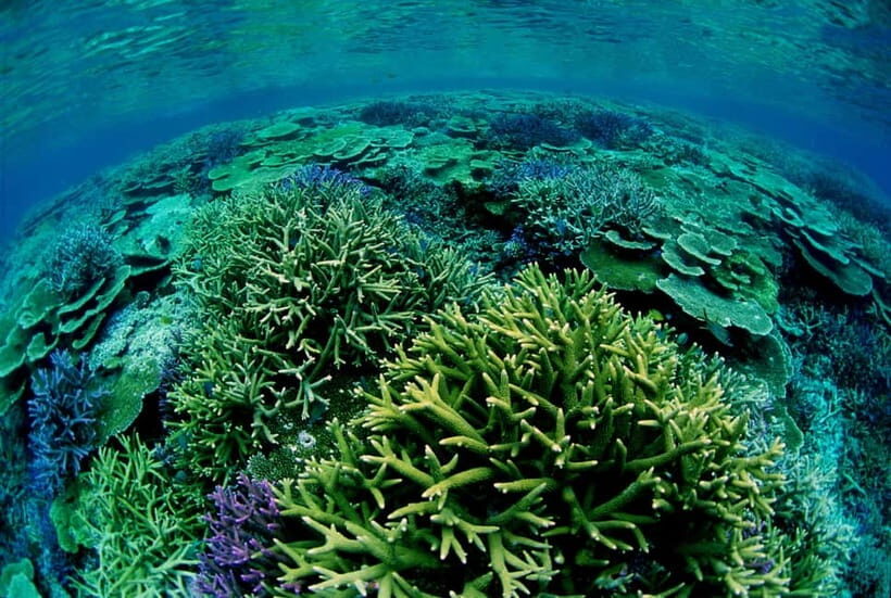 Half-Day Snorkeling Trip to Kerama & Marine Sports - Who This Kerama Snorkeling and Marine Sports Trip Fits Best (and Who Should Skip)