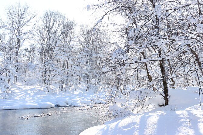 Half Day - Snow View Rafting in Niseko - Price value check: is $111.05 worth it?